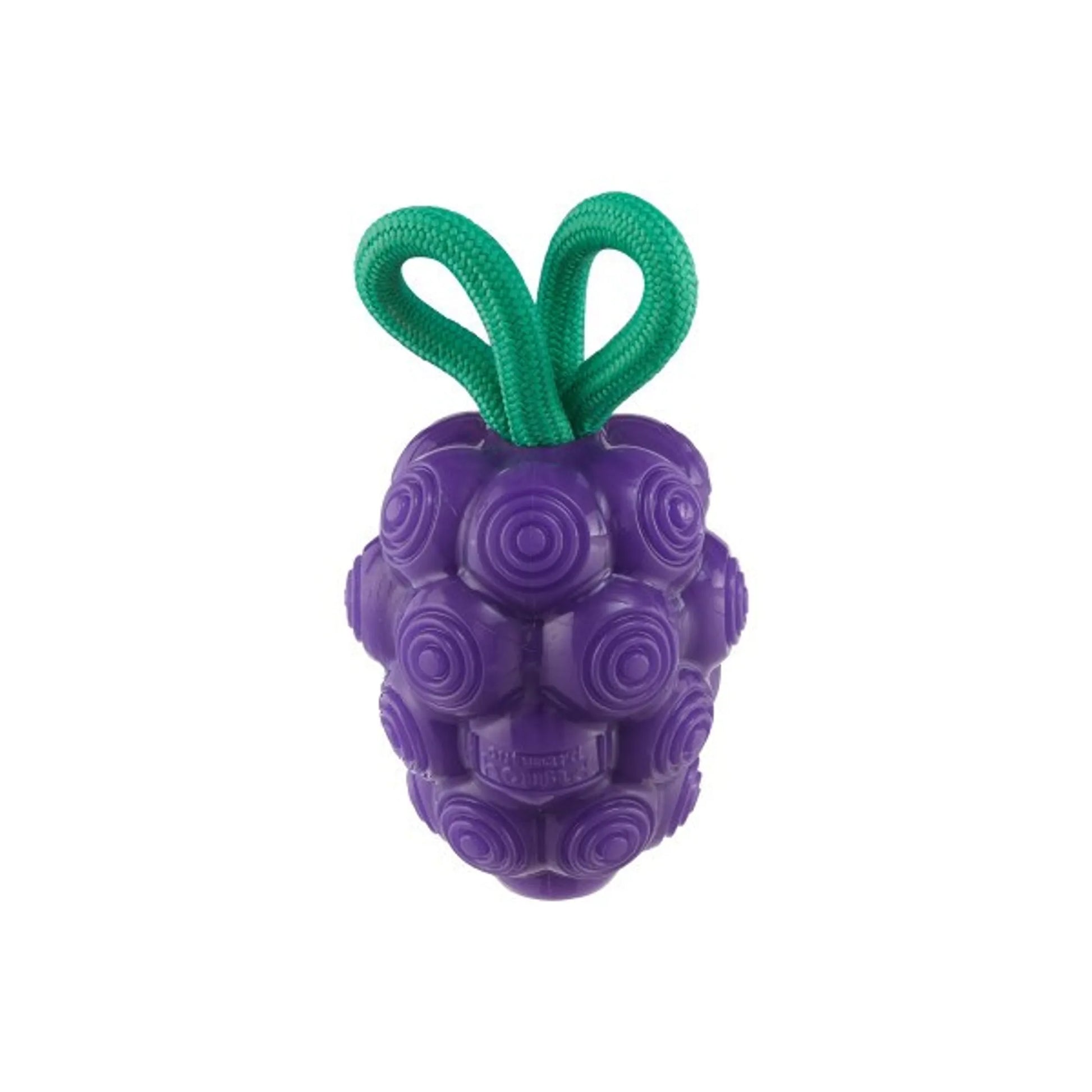 Planet Dog Dental Grapes Dog Chew Toy Purple Medium - Pets Perfect