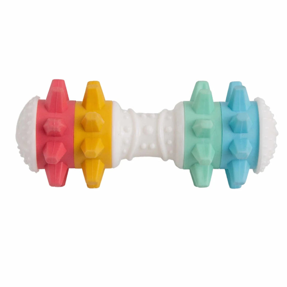 SnugArooz Shake It Off Dog Chew Toy Multicolored 5" - Pets Perfect