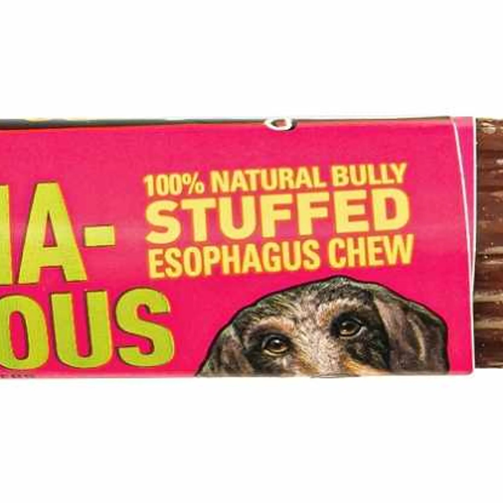Etta Says! Esopha-normous Bully Stuffed Esophagus Chew 5in 20ct Bag