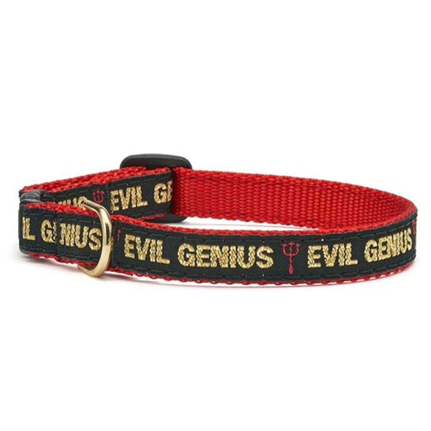 Up Country Evil Genius Cat Collar - Pets Perfect