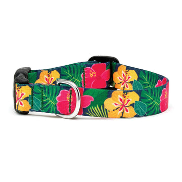 Up Country Sport Hibiscus Collar