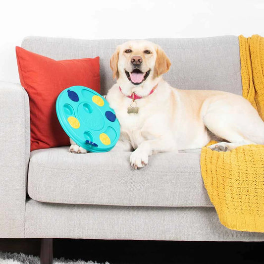 ZippyPaws Adventure Collapsible Dog Bowl - Portable Travel Water and Food Bowl 22 oz