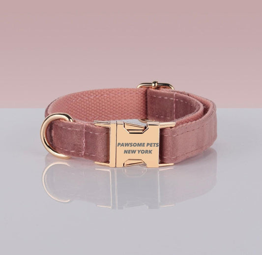 Pawsome Pets Adjustable Nylon Dog Collar #14 - Quick-Release Buckle for Secure Fit