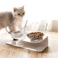 Elevated Non - Slip Double Cat Bowl With 15° Tilted Design - Pets Perfect