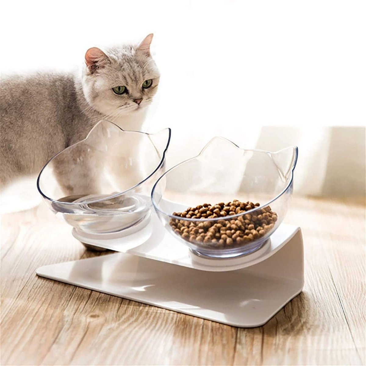 Elevated Non - Slip Double Cat Bowl With 15° Tilted Design - Pets Perfect