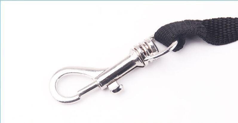 3 - In - 1 Illuminated Dog Leash With Retractable Garbage Bag - Pets Perfect