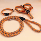 Ultimate Comfort Dog Leash - Pets Perfect