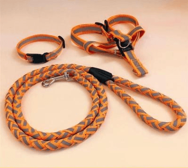 Ultimate Comfort Dog Leash - Pets Perfect