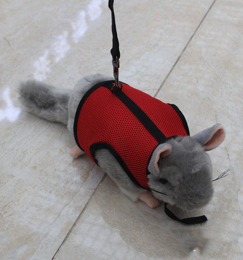 Nylon Leash for Small Pets Adjustable Sizes & Colors - Pets Perfect
