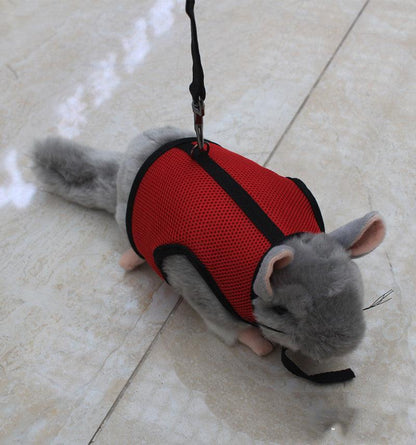 Nylon Leash for Small Pets Adjustable Sizes & Colors - Pets Perfect