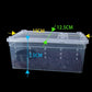 Transparent Reptile Haven: The Perfect Enclosure For Your Cold - Blooded Companions - Pets Perfect