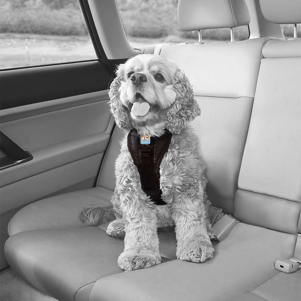 Kurgo Dog Tru Fit Dog Harness Quick Release Black X-Large