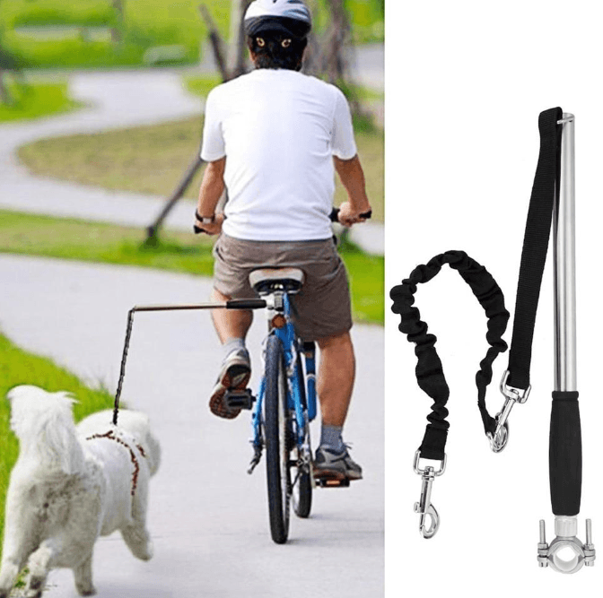 Ultimate Hands - Free Dog Walking Leash - Adjustable Waist Belt with Reflective Stitching - Pets Perfect