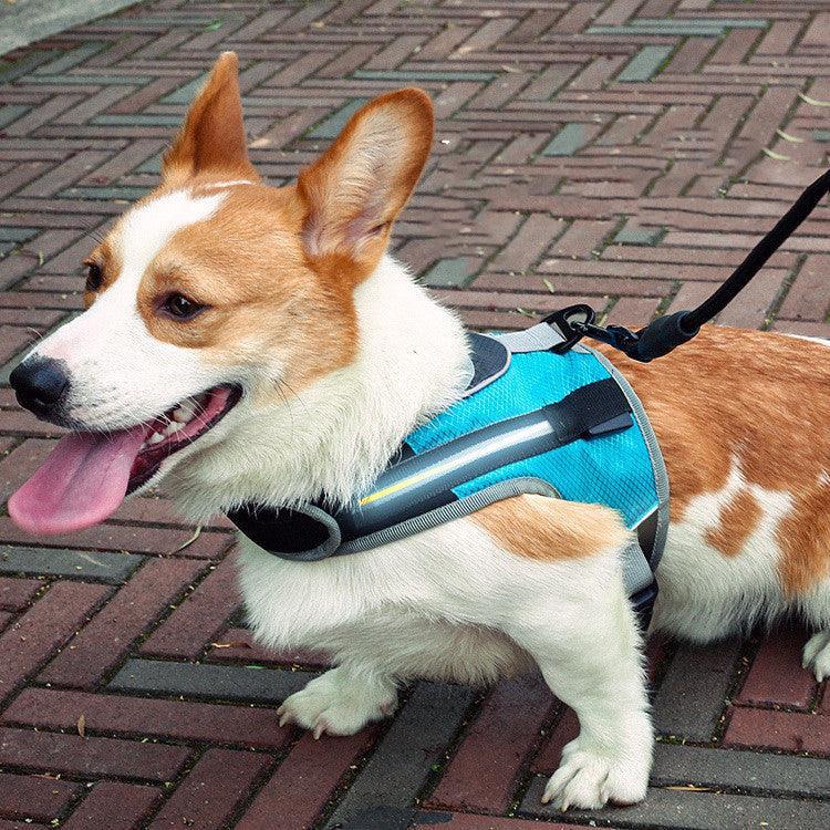 Durable Nylon Pet Dog Leash: The Perfect Companion For Walks And Adventures - Pets Perfect