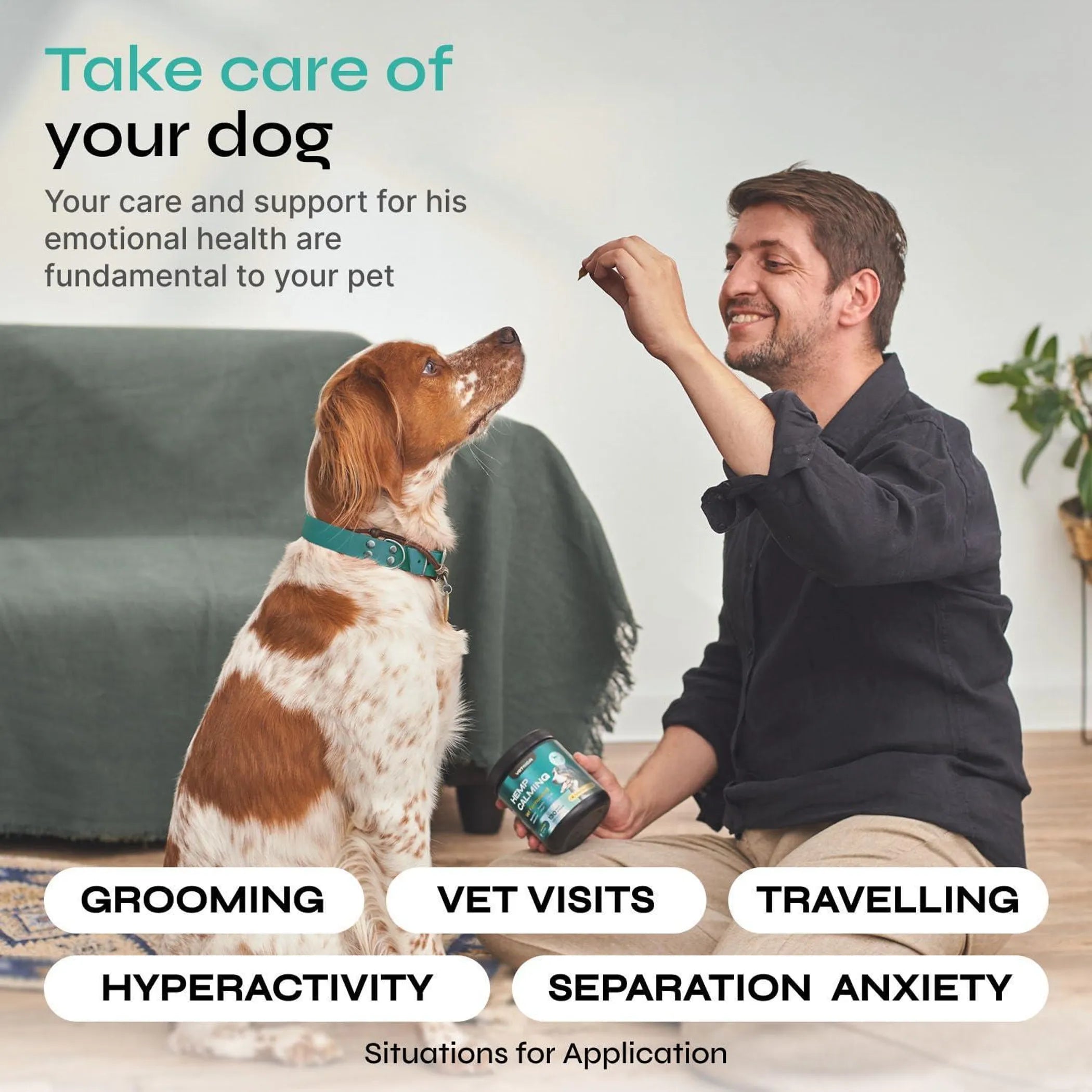 Calming Chews for Dogs Anxiety Relief