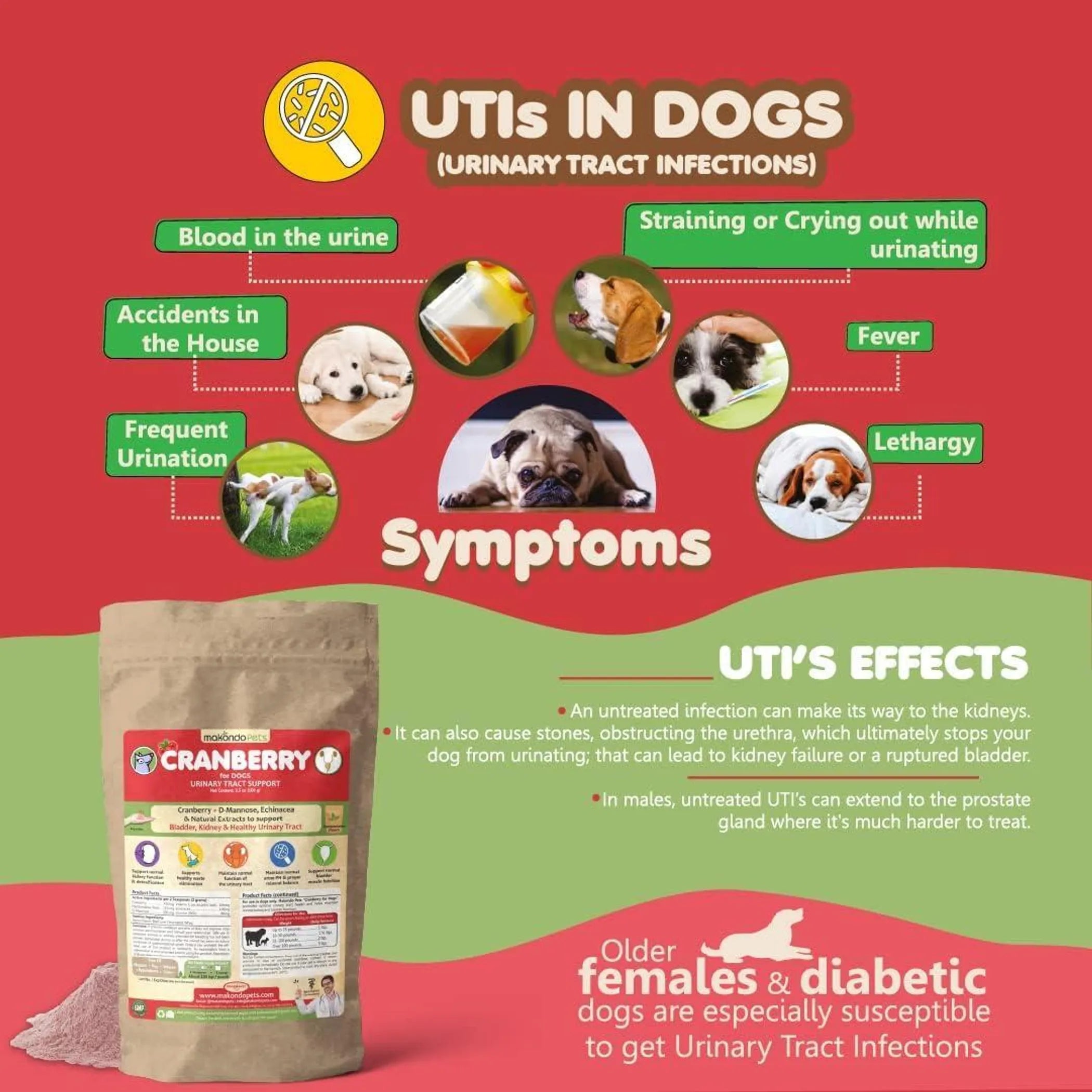 Dog Cranberry Supplement Natural Dog UTI Treatment & Kidney Support for Dogs