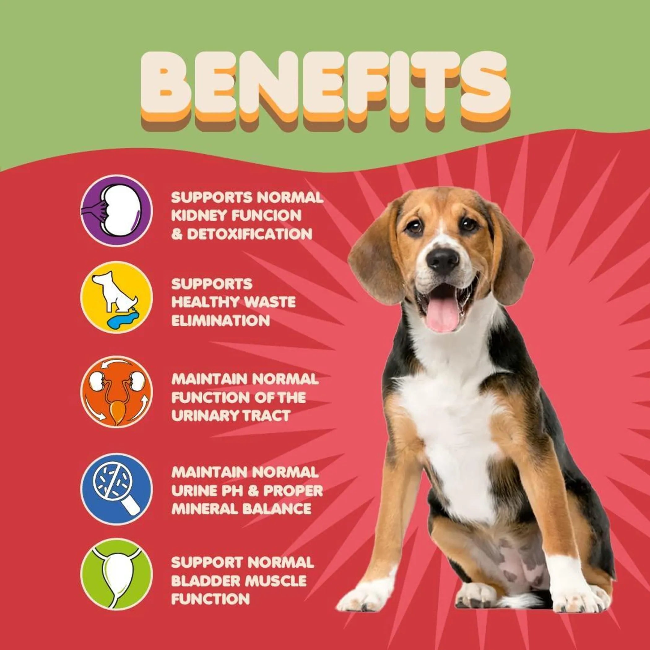Cranberry for Dogs in Powder UTI Bladder Support