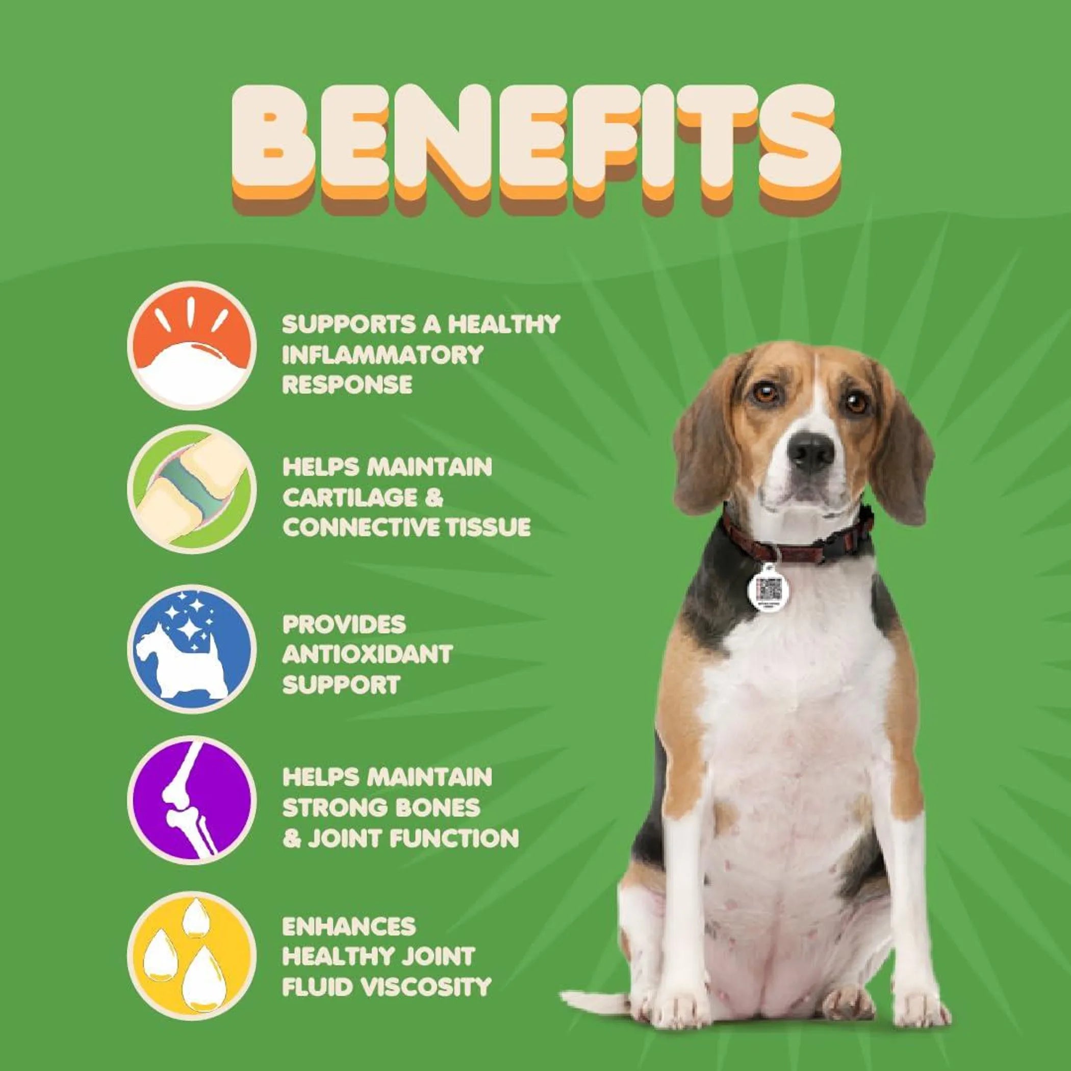 Dog Hip and Joint Supplement with Glucosamine Turmeric for Dogs