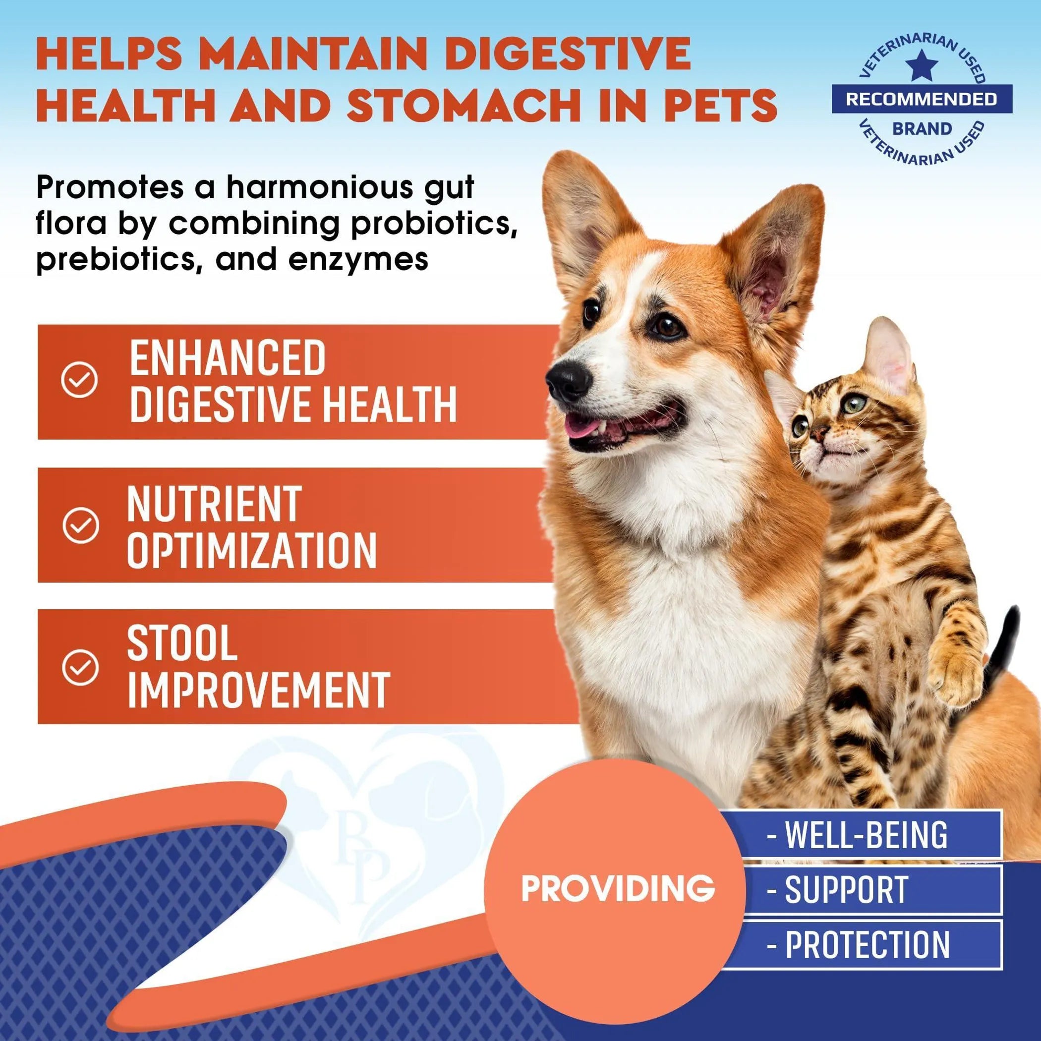 Probiotics & Prebiotics with Enzymes for Dogs and Cats