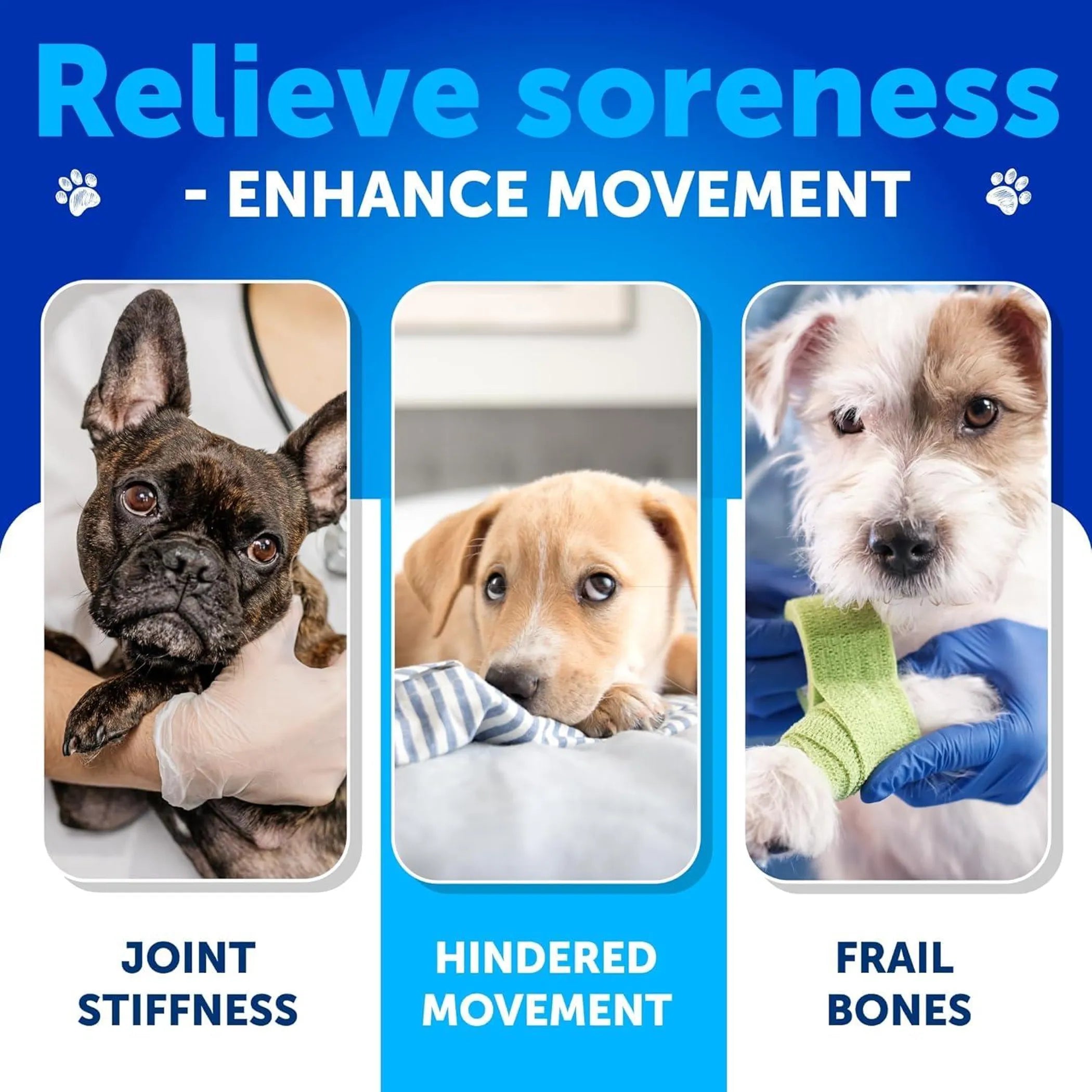 Glucosamine for Dogs Hip and Joint Supplement