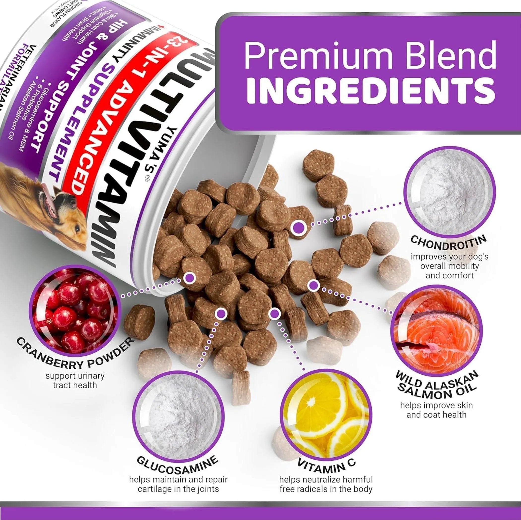 2 Pack Multivitamin Treats for Dogs Made in USA