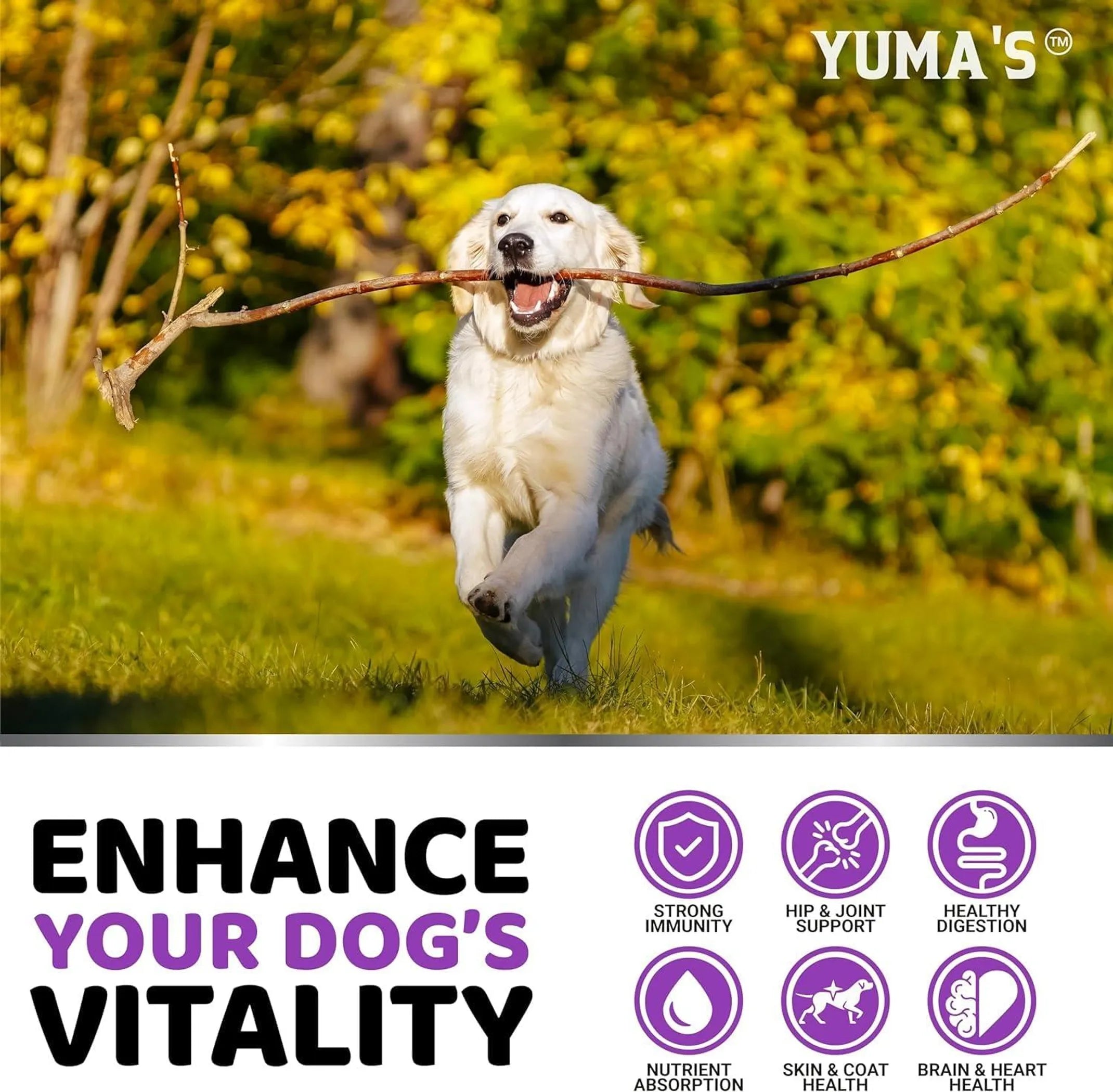 2 Pack Multivitamin Treats for Dogs Made in USA
