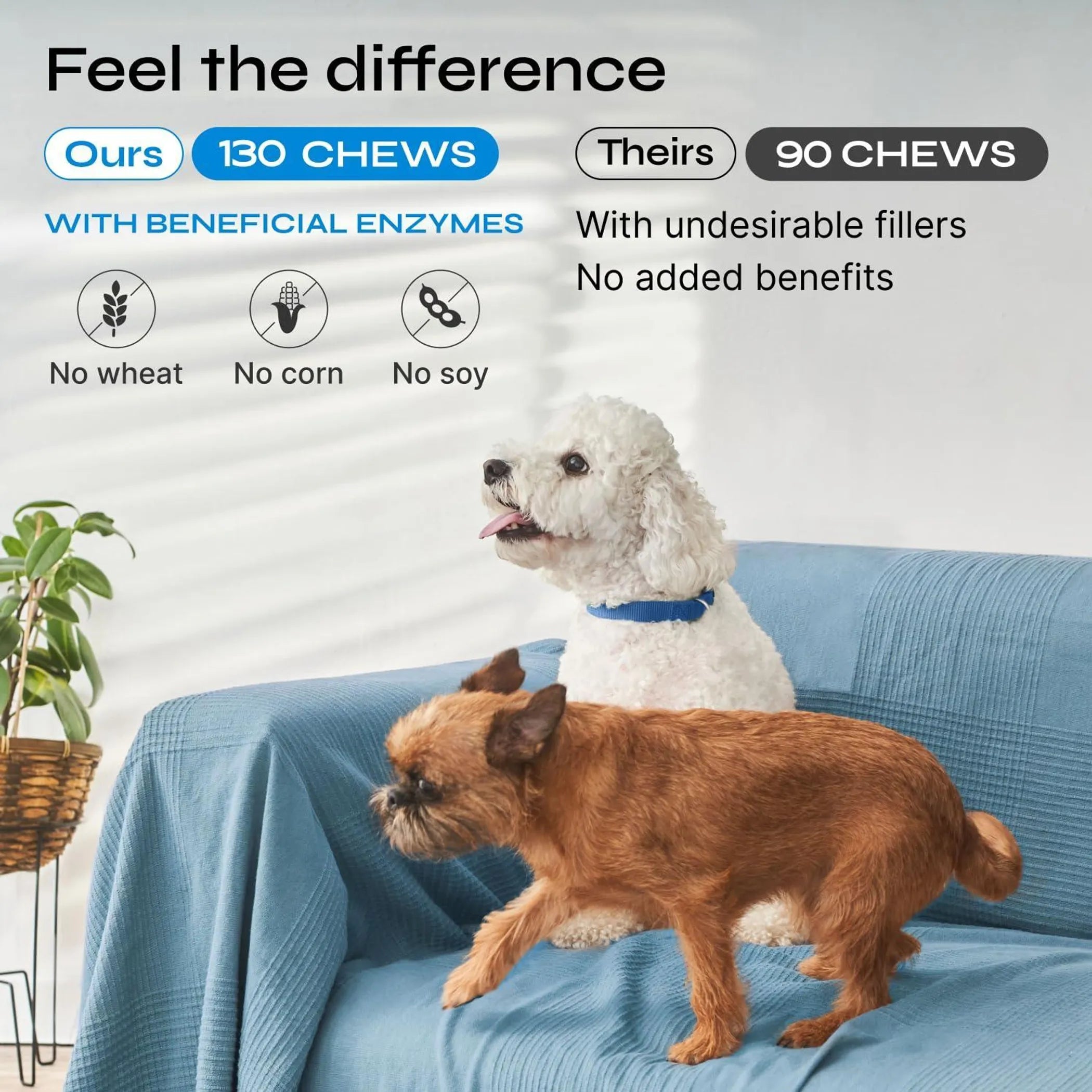 Probiotic Chews for Dogs