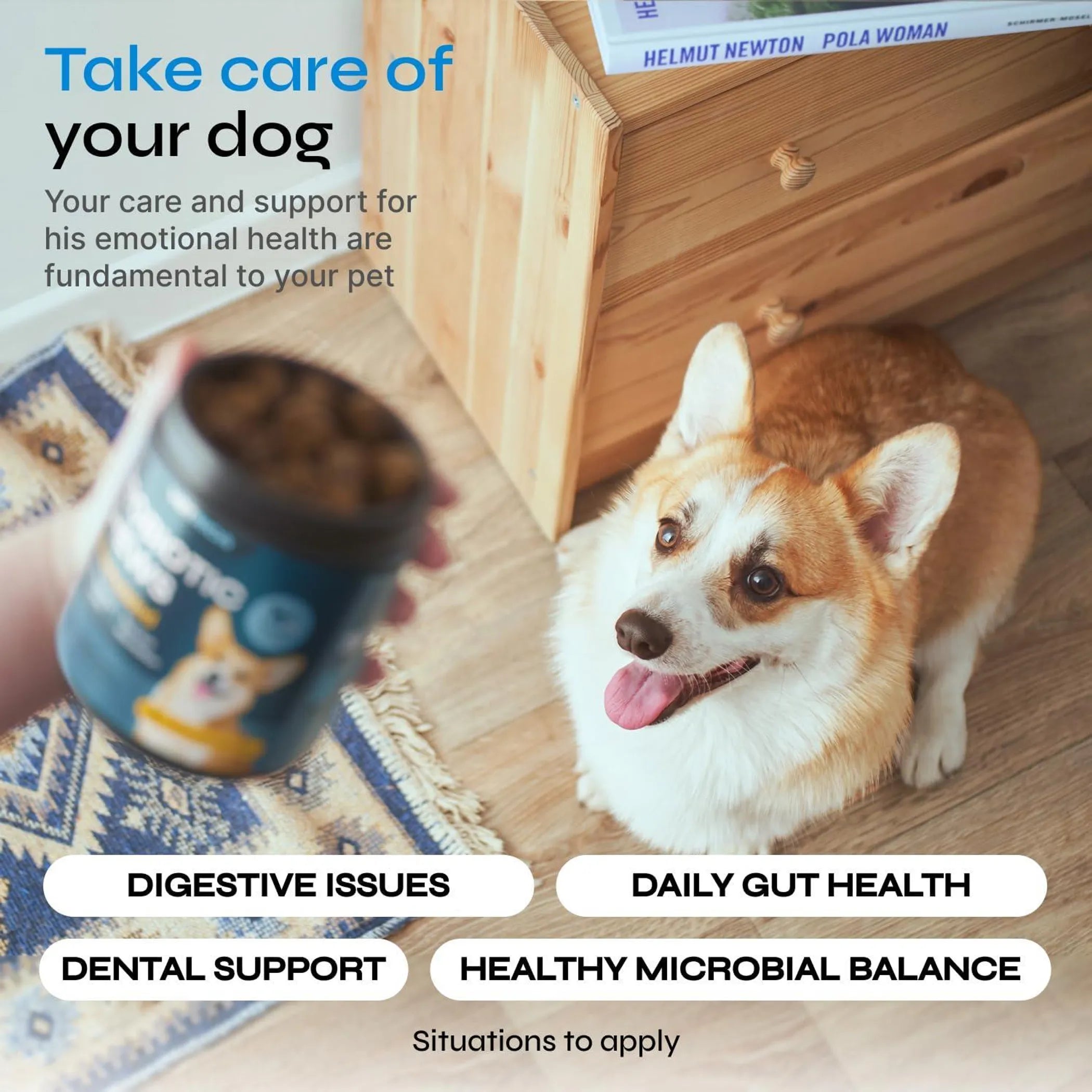Probiotic Chews for Dogs