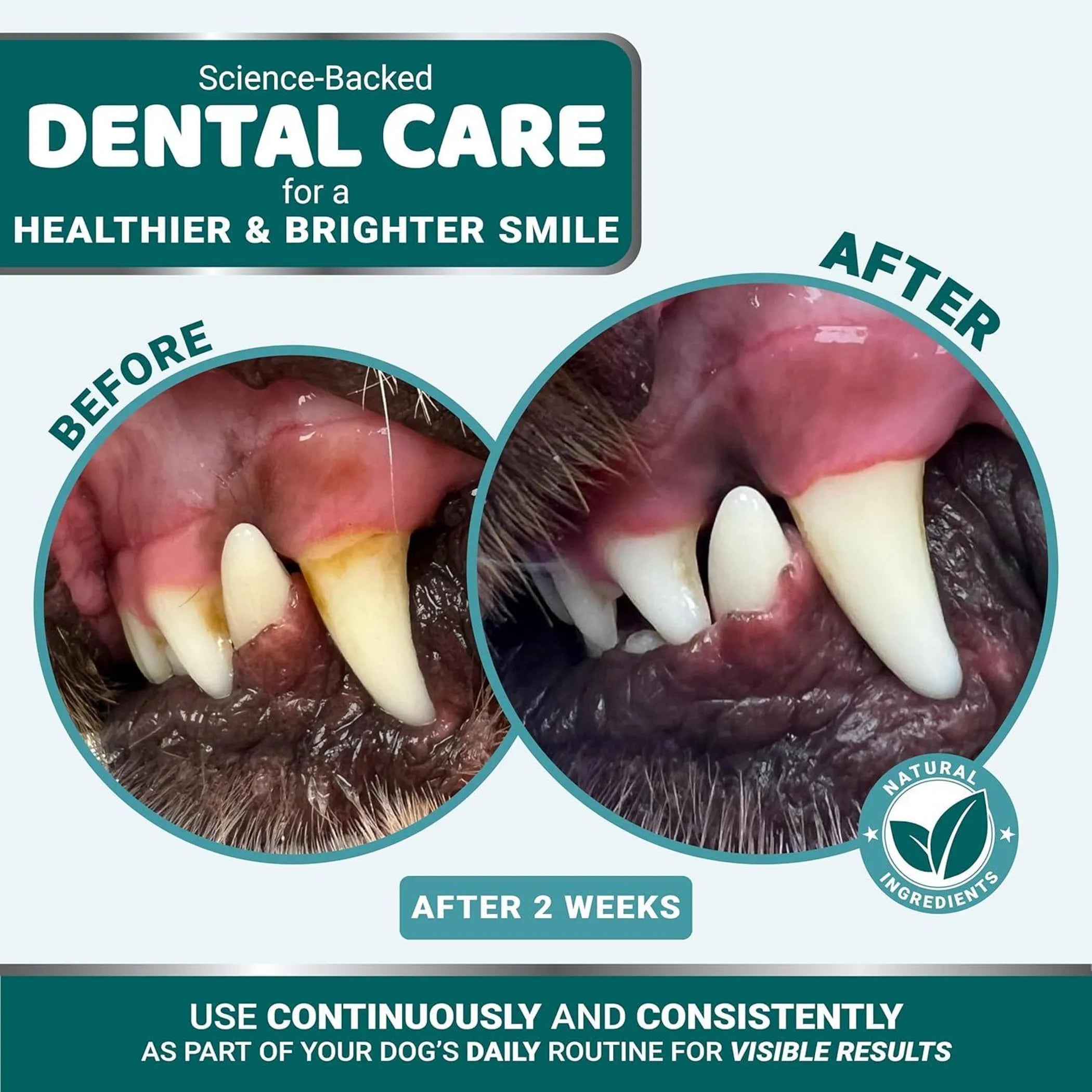 Dog Dental Powder Breath Freshener