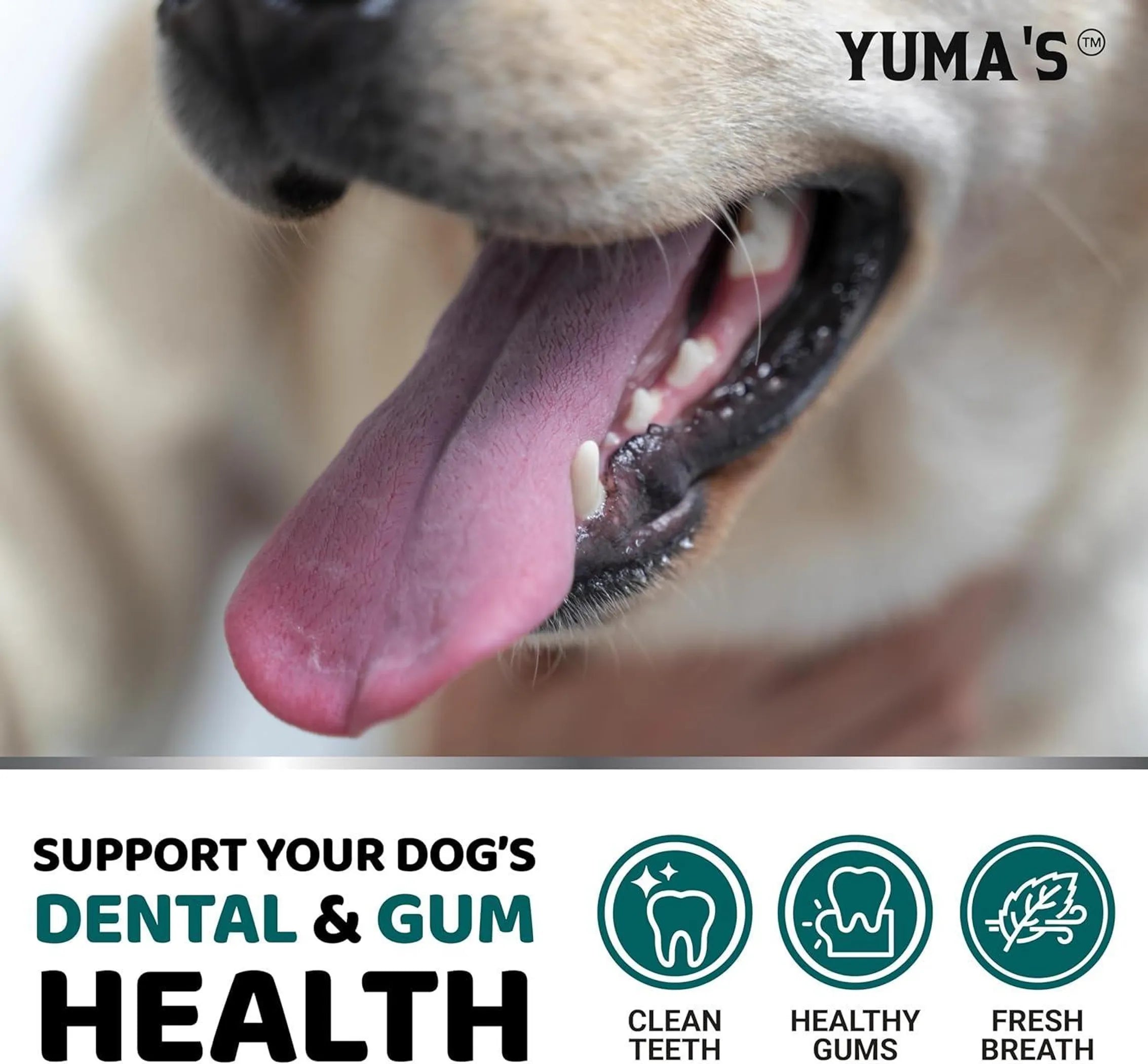 Dog Dental Powder Breath Freshener