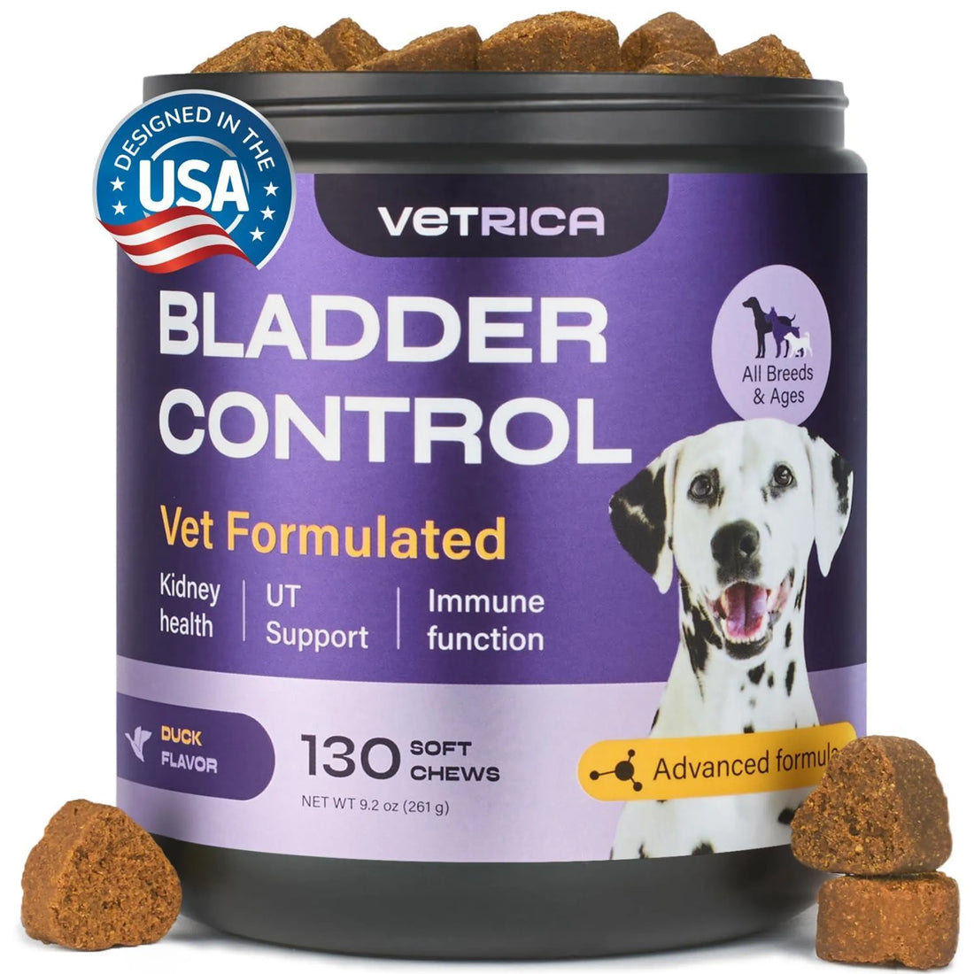 Dog UTI Treatment