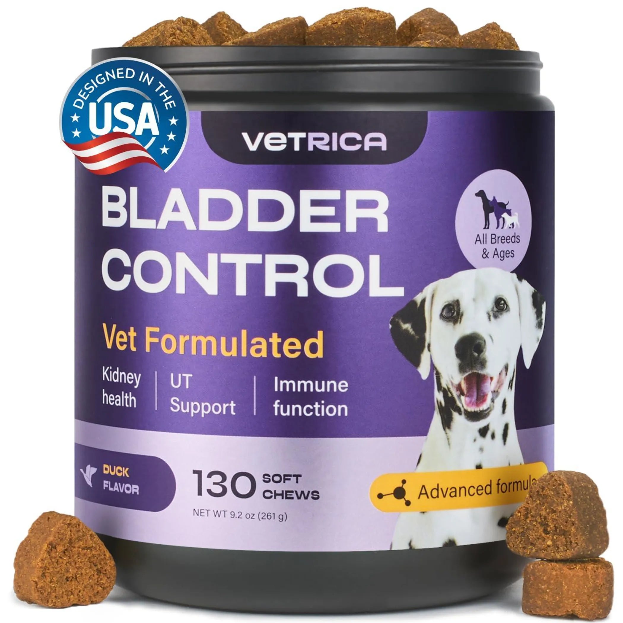 Dog UTI Treatment