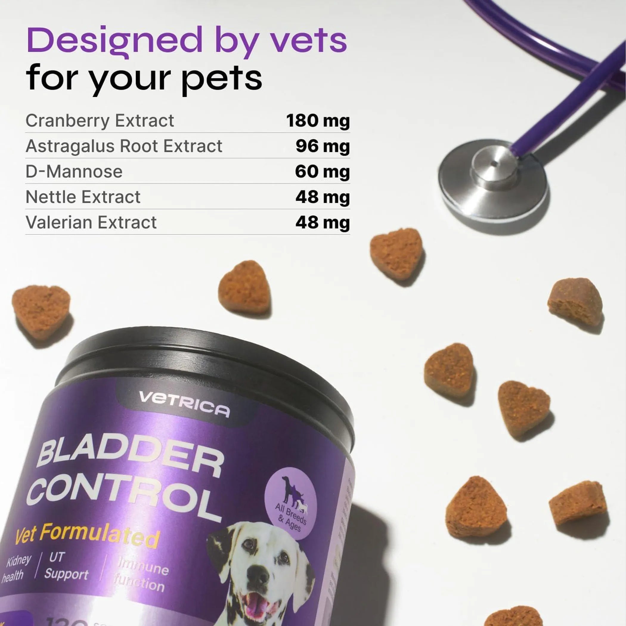 Dog UTI Treatment