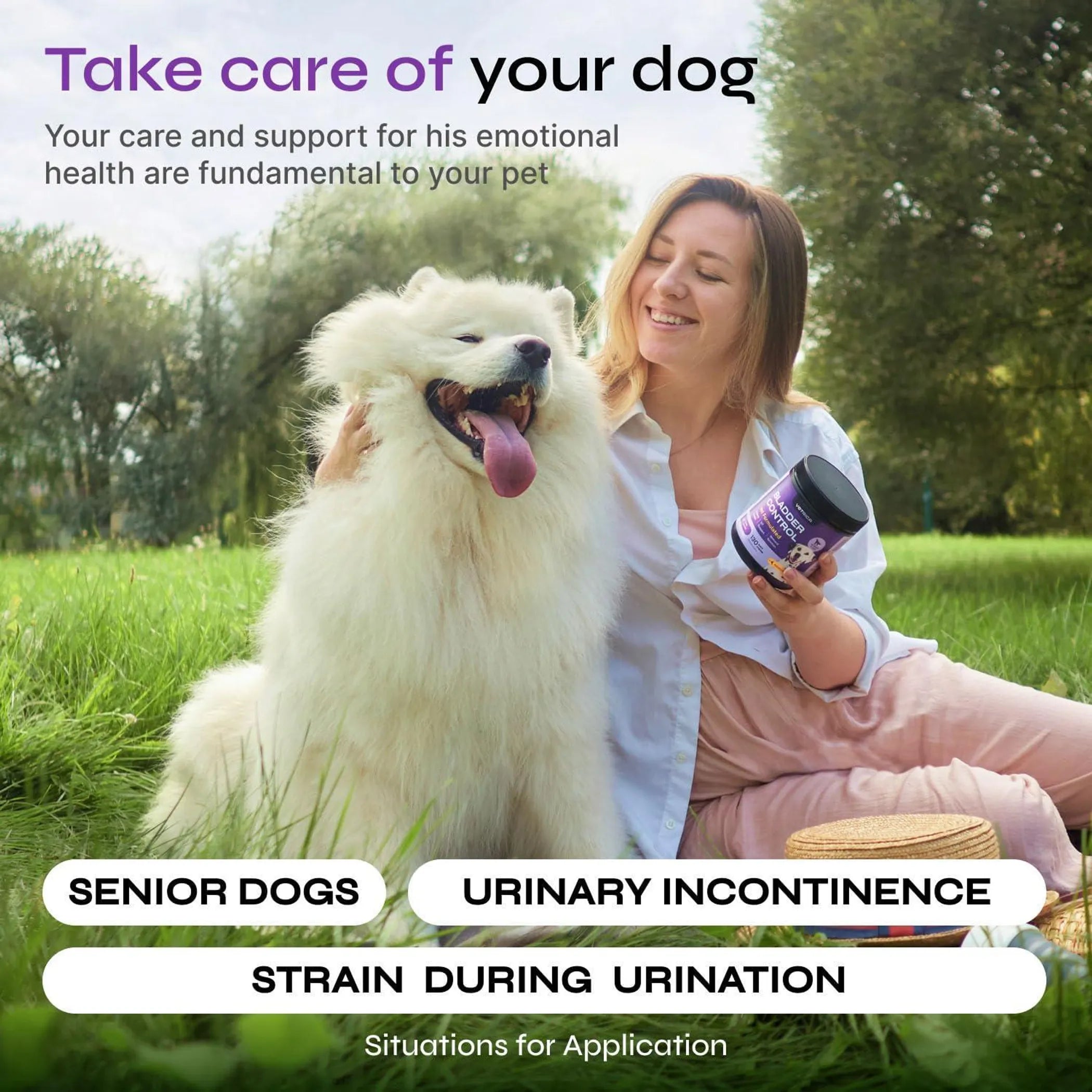 Dog UTI Treatment