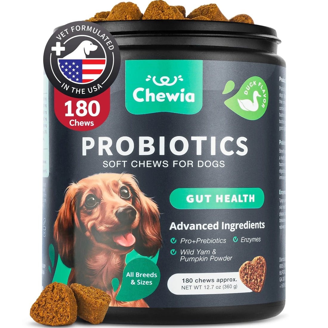 Probiotics for Dogs Gut Health Digestion