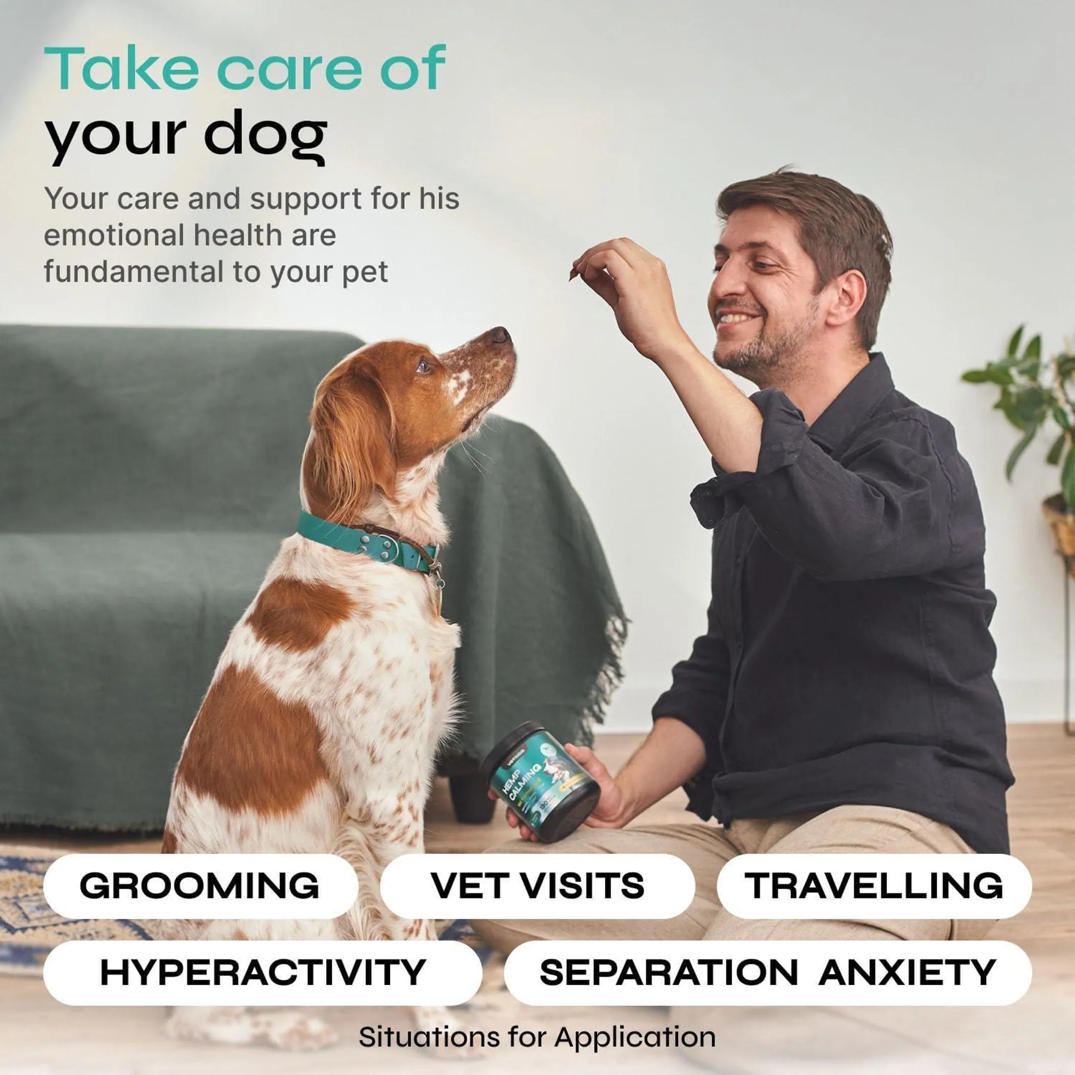 Calming Chews for Dogs