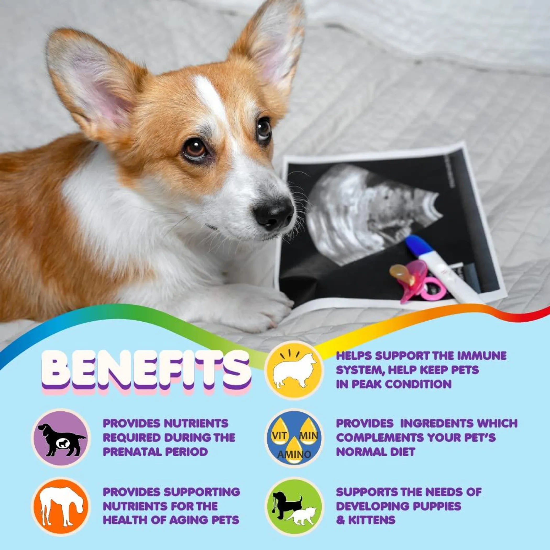 Prenatal Dog Vitamins