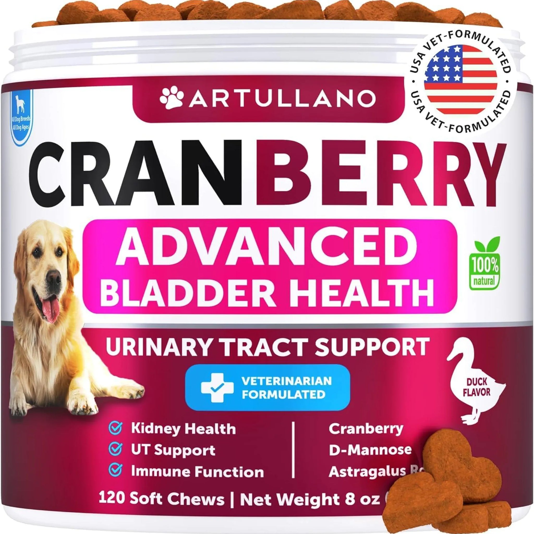 Dog UTI Treatment