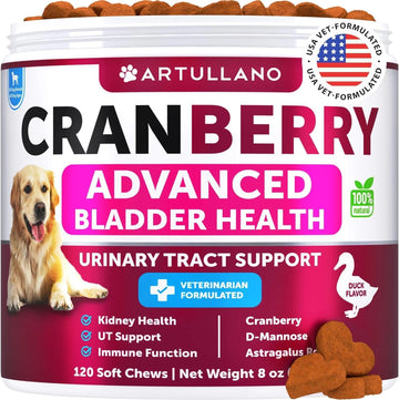 Dog UTI Treatment