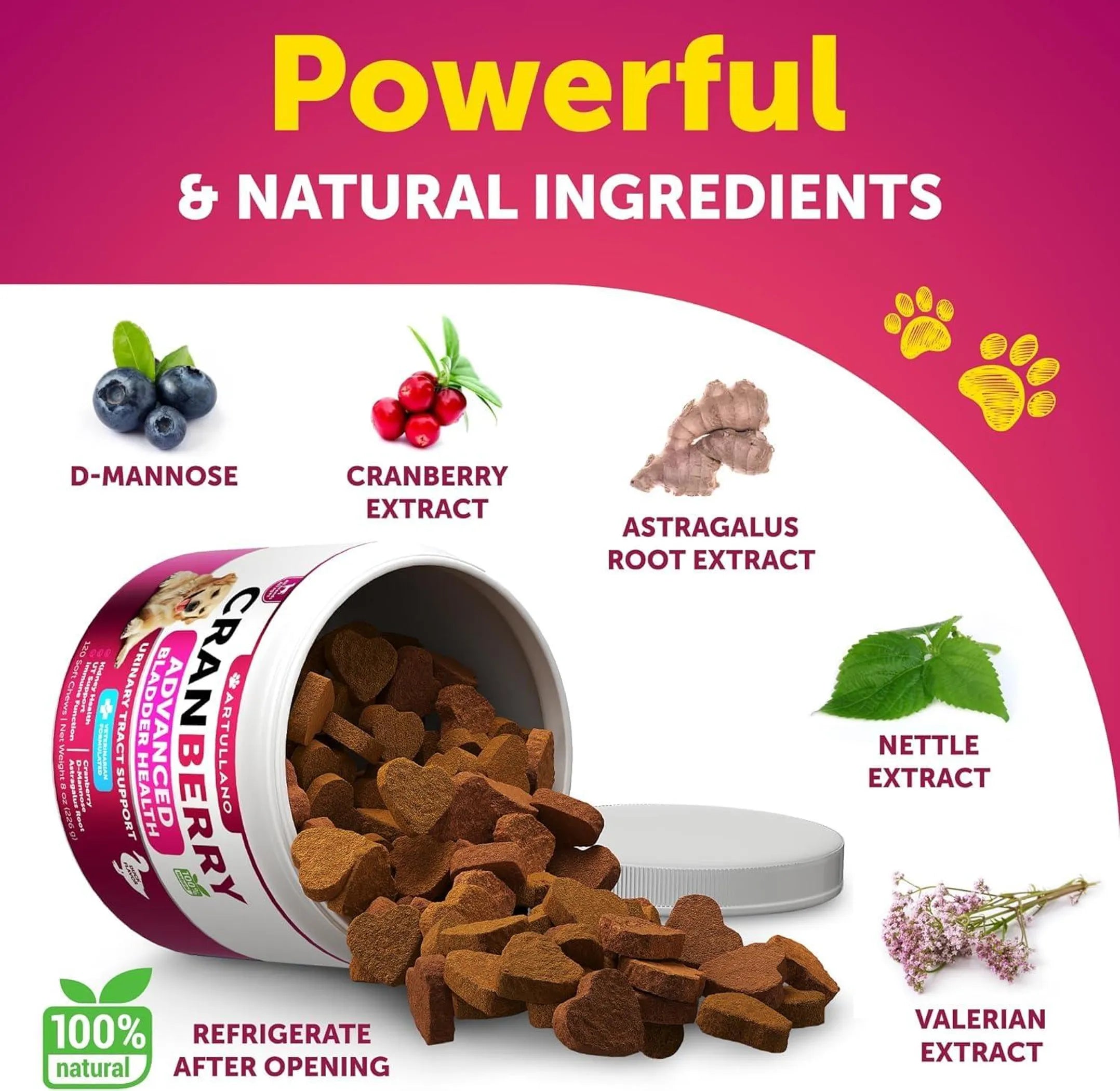 Dog UTI Treatment