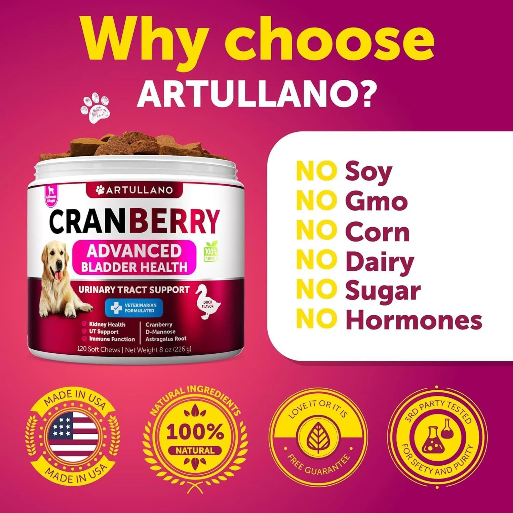 Dog UTI Treatment