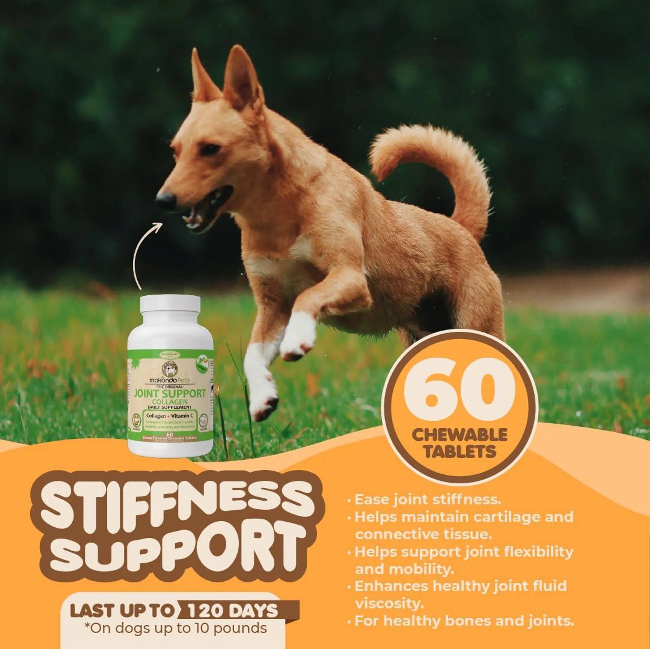 Collagen for Dogs & Cats