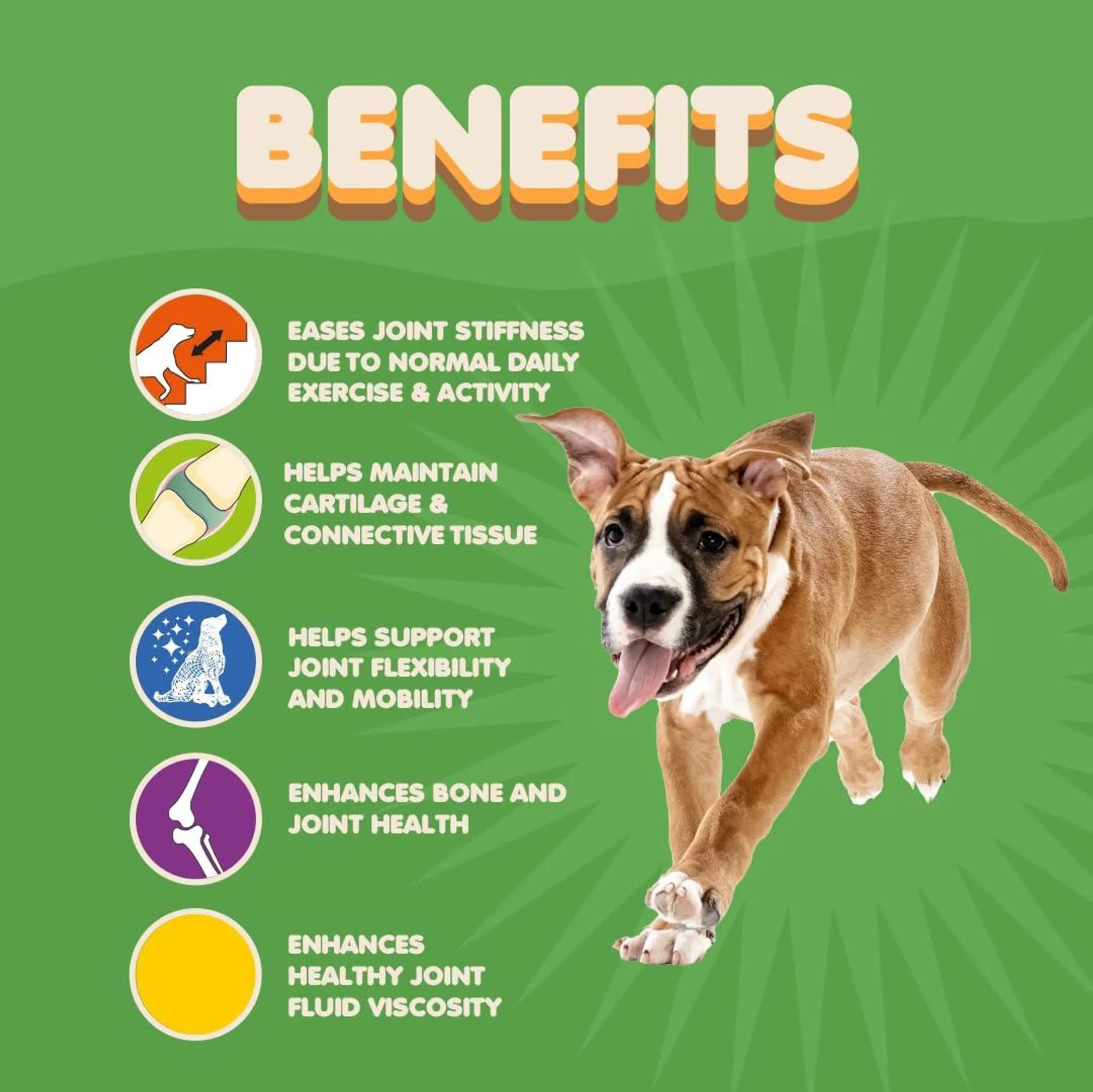 Collagen for Dogs & Cats