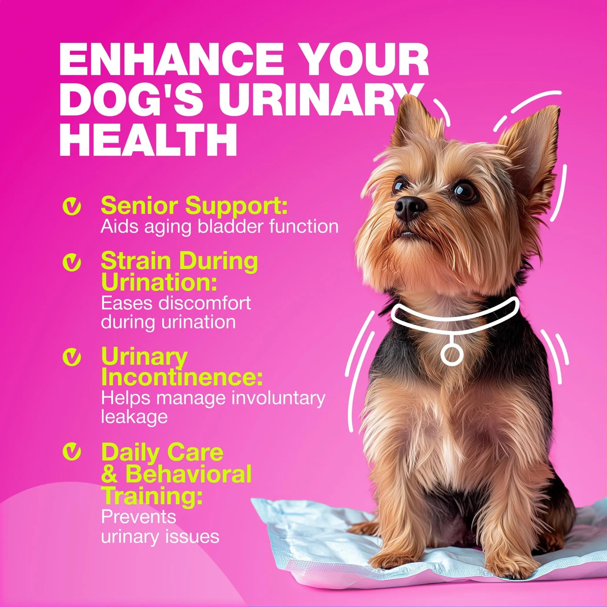 Dog UTI Treatment Chews