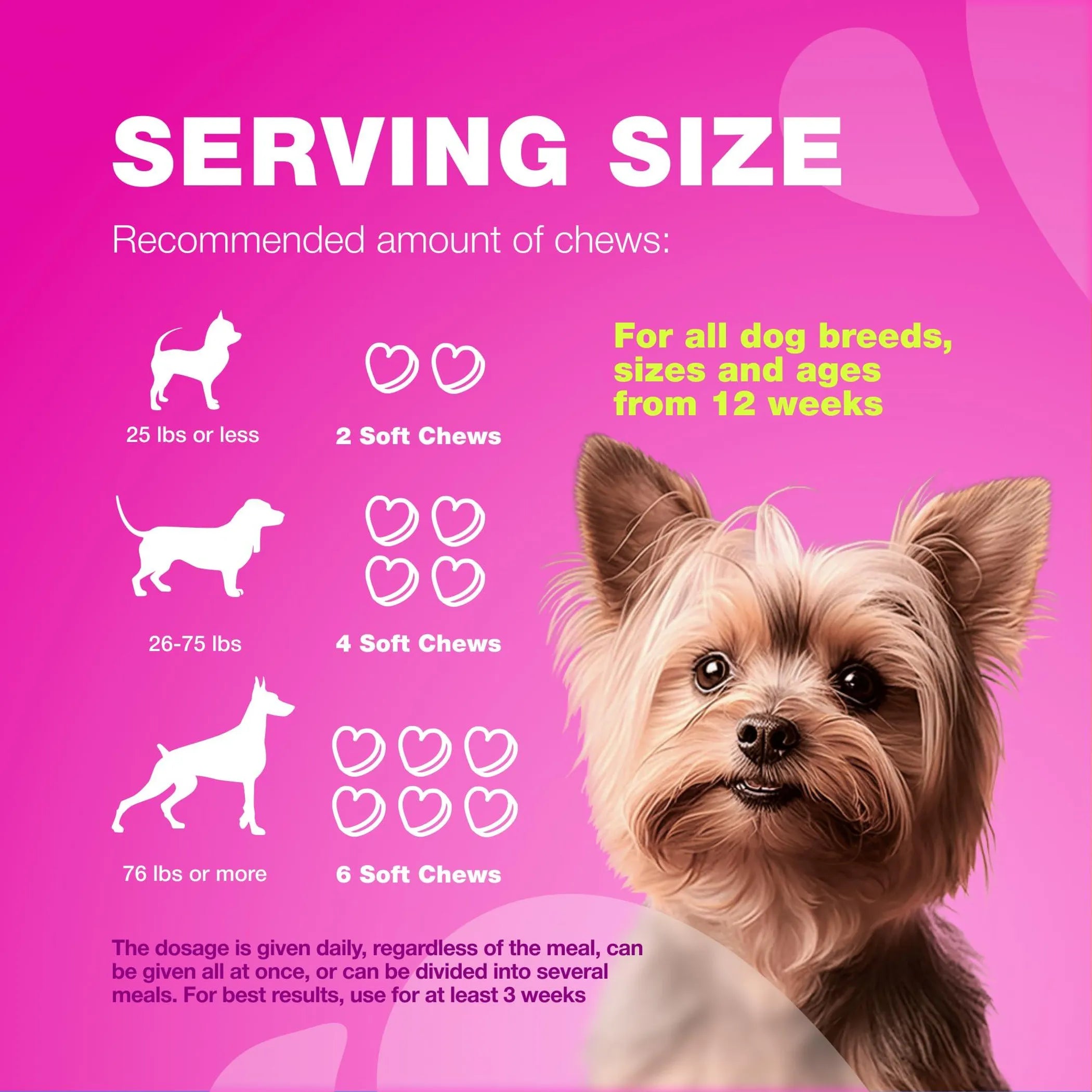 Dog UTI Treatment Chews