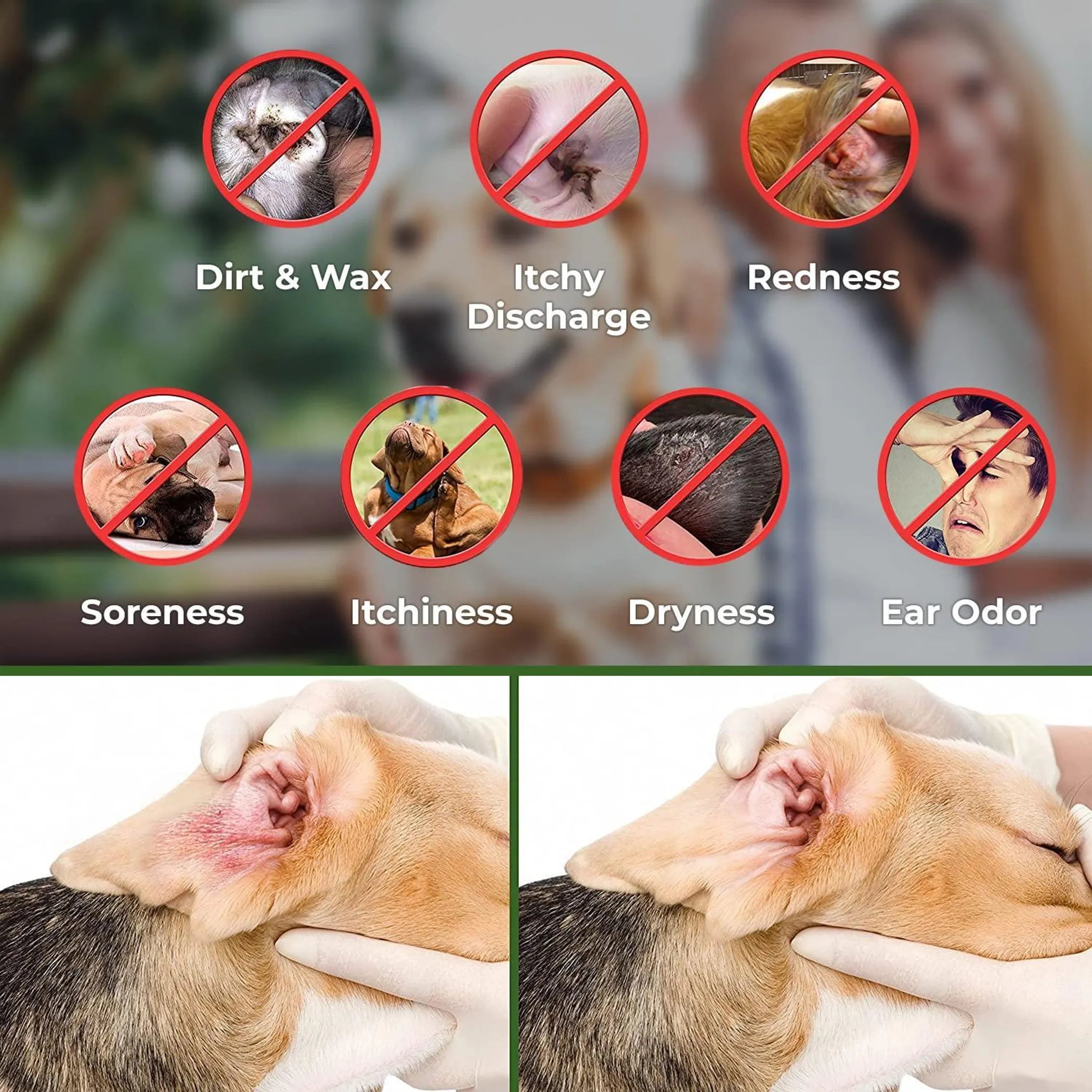 Ear Cleaner Wipes by Arava for Dogs