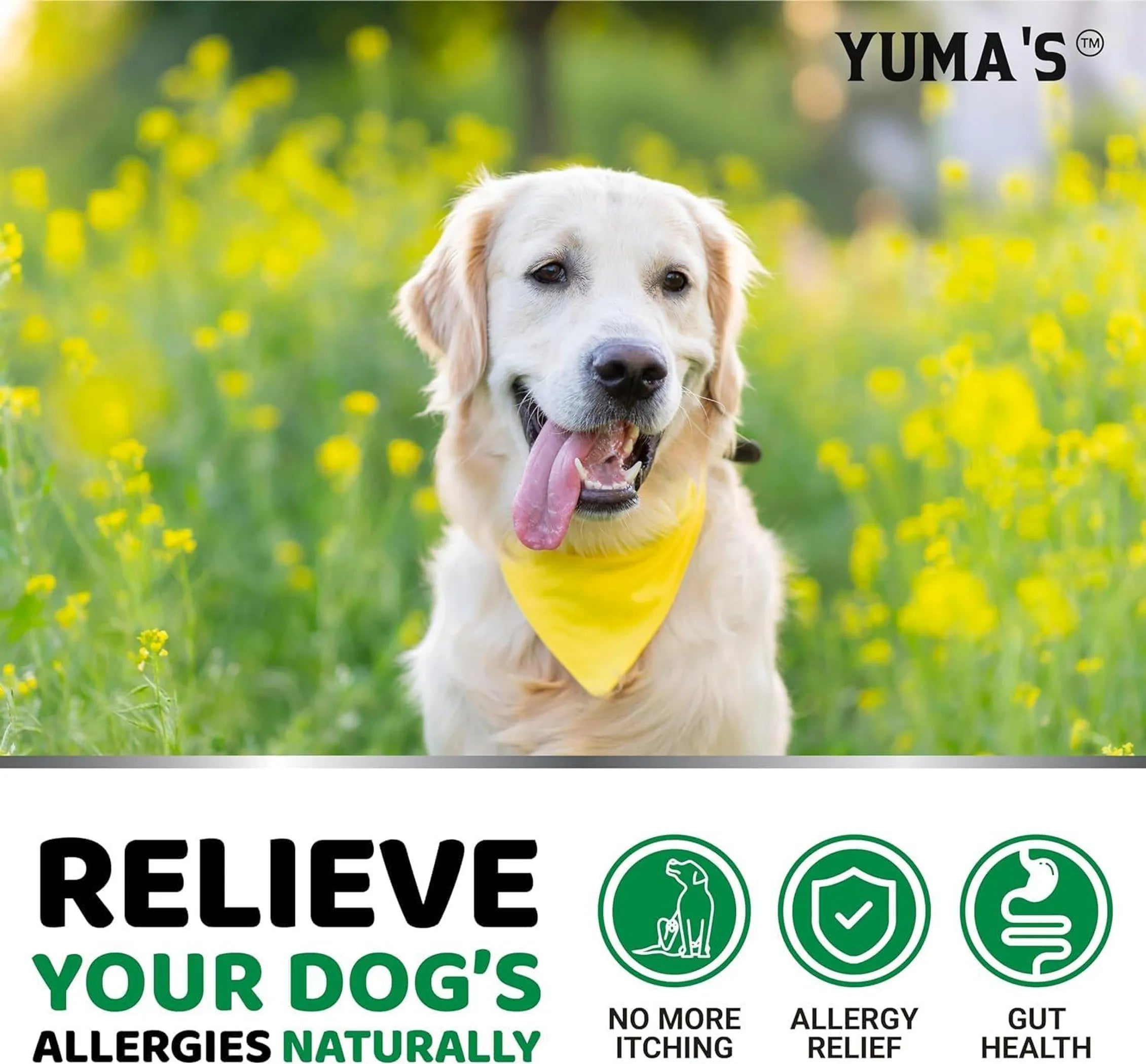 2 Pack Dog Allergy Relief Chews