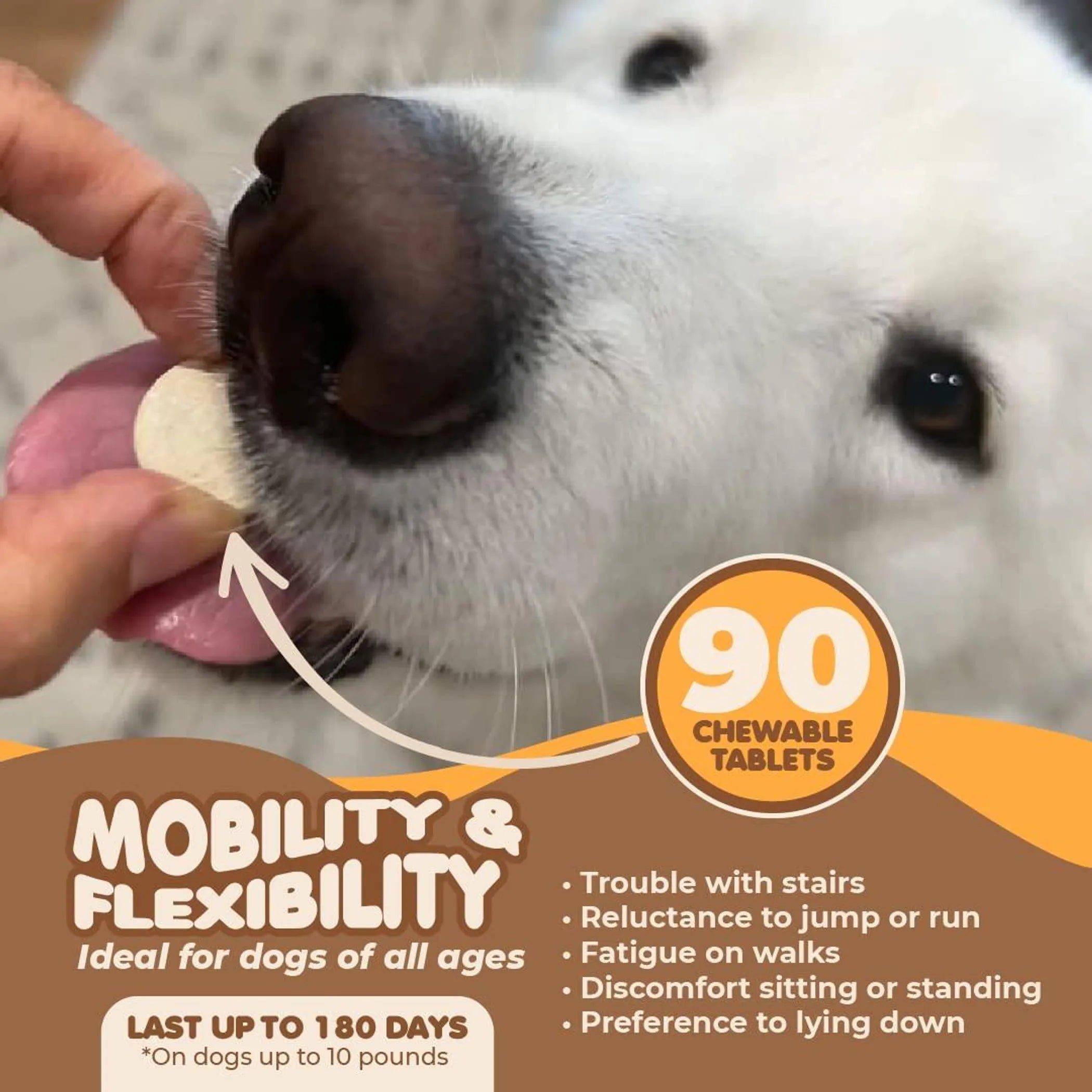 Joint Supplement for Dogs