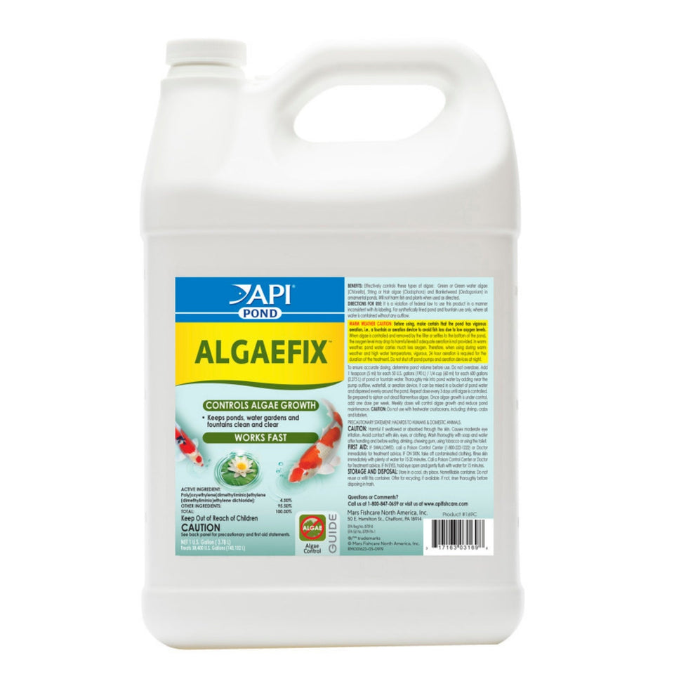 API Pond AlgaeFix Algae Control Solution 1ea/1 gal