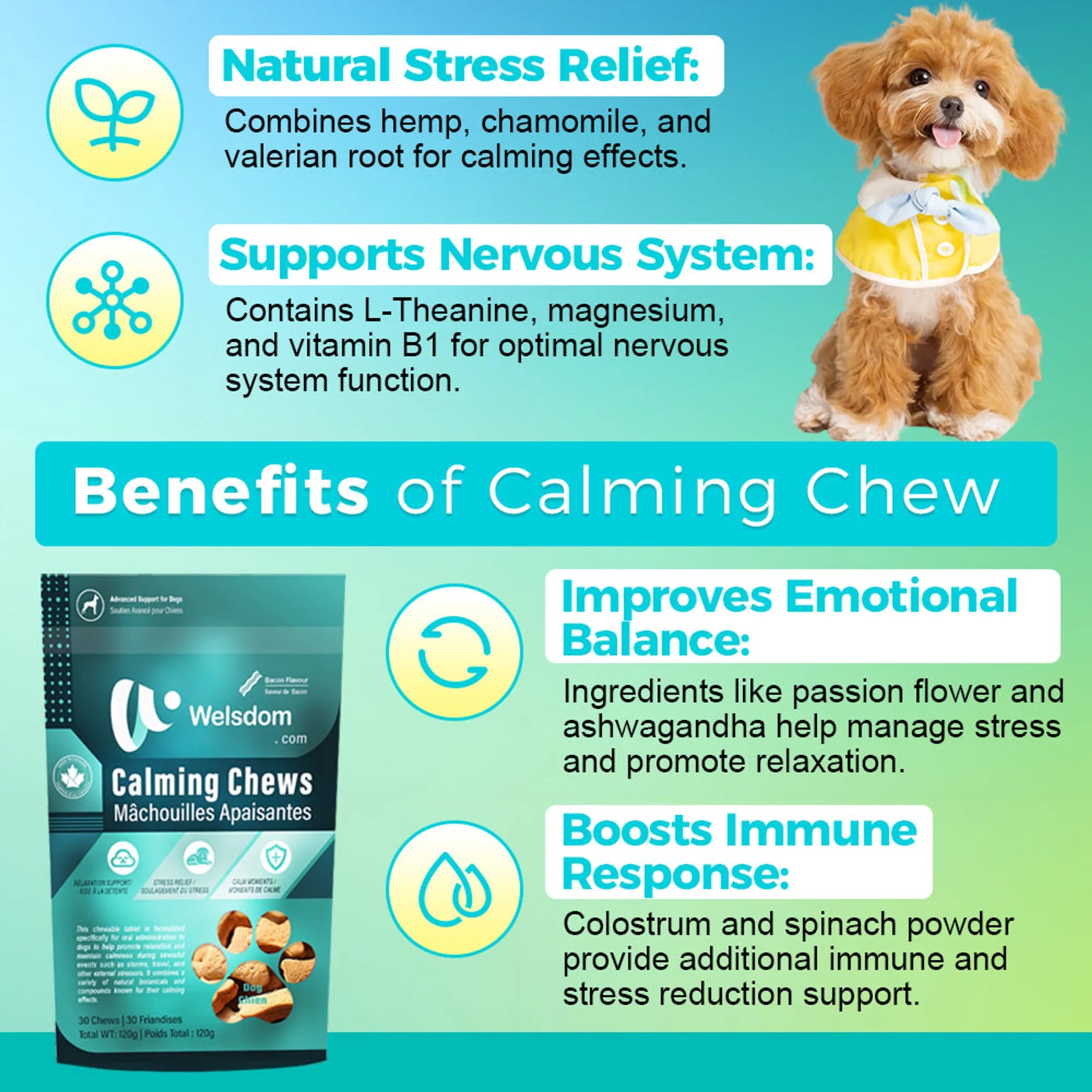 Calming Chew - 30 Chews